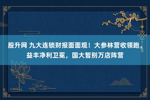 股升网 九大连锁财报面面观！大参林营收领跑，益丰净利卫冕，国大暂别万店阵营